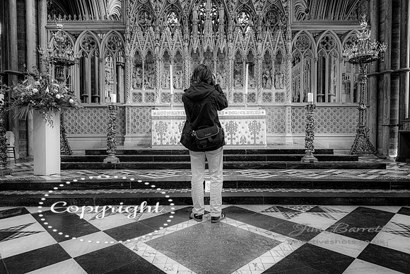 Ely cathedral jim 072