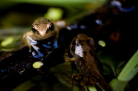 Sale!! on Wall ART