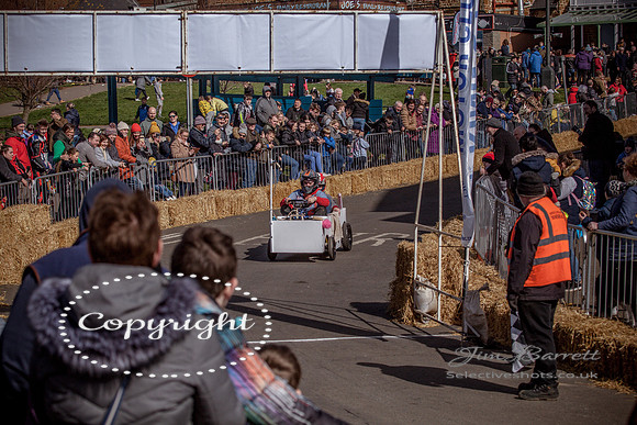 Hunstanton soap box race and birds 210_1