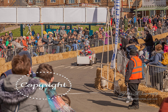 Hunstanton soap box race and birds 208