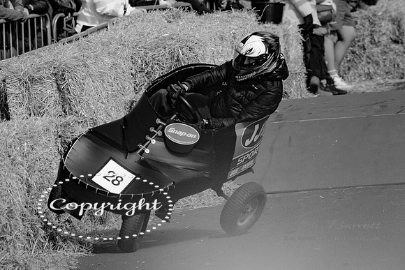 Hunstanton soap box race and birds 203