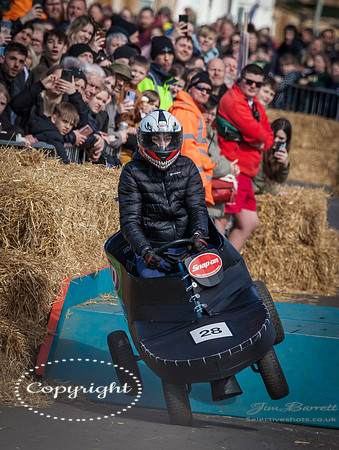 Hunstanton soap box race and birds 201
