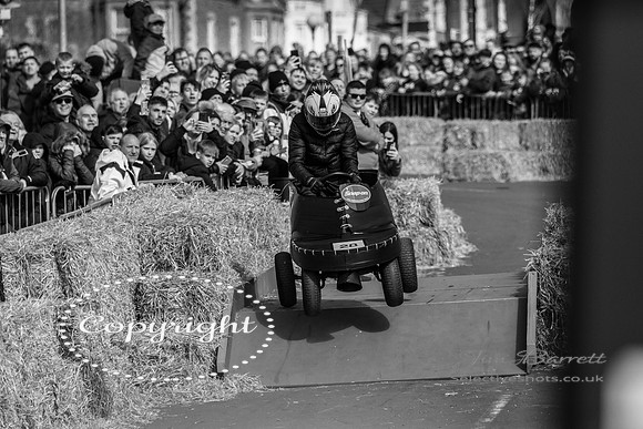 Hunstanton soap box race and birds 200