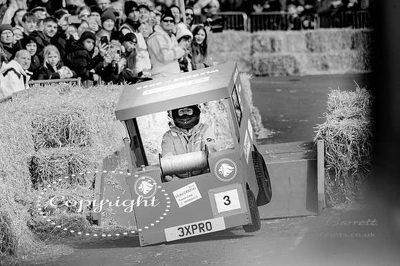Hunstanton soap box race and birds 133