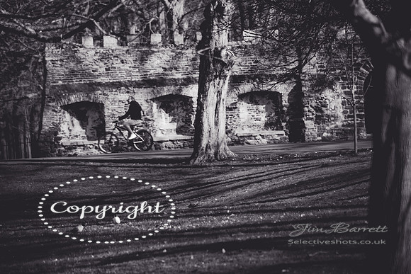 king Lynn walks