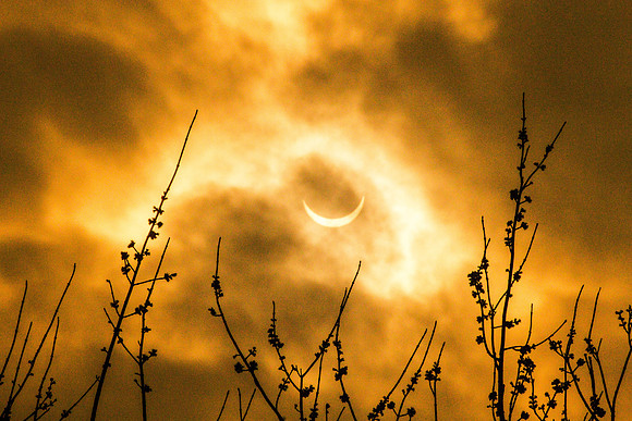 Solar Eclipse  march 2015 084