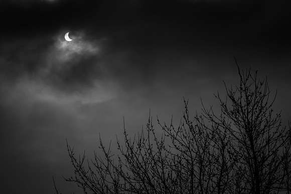 Solar Eclipse  march 2015 048