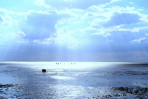 IMG_0141blue