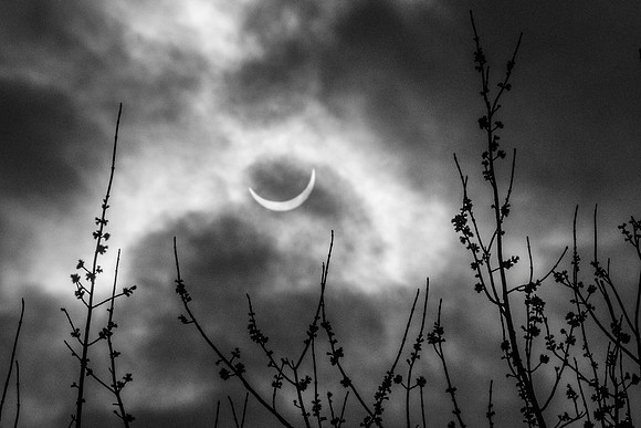 Solar Eclipse  march 2015 085