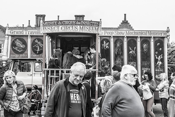wierd and wonderful wood. 2019 011