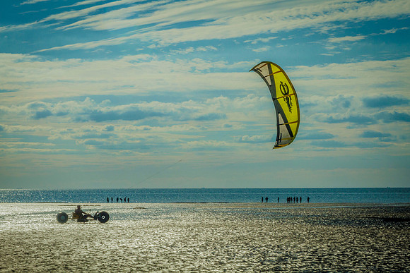 BBQ & Kite with Manuel 305