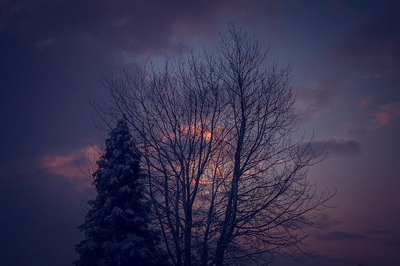 my sky