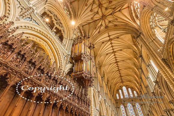 Ely cathedral jim 050