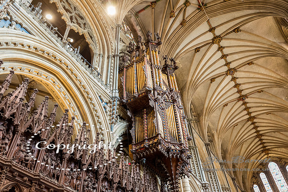 Ely cathedral jim 049